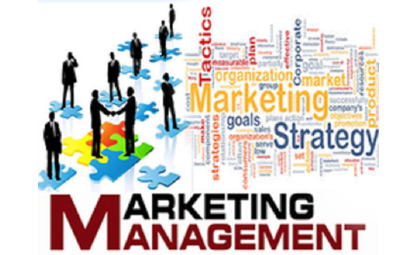 MARKETING MANAGEMENT  COURSES